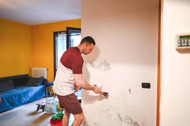 Best Mold Removal Company Near Me  in Lake Arrowhead, ME